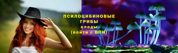 круглые Алзамай
