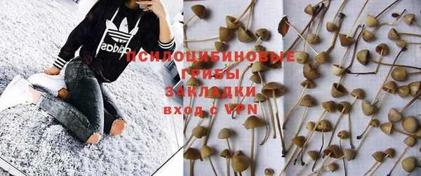 круглые Алзамай